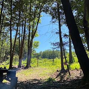 Woodsy Camp - Open!