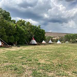 BEAR tipi