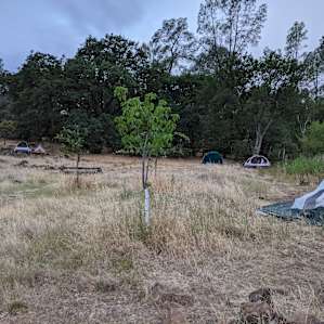 View of tent sites from the parking lot/entrance. I think the site by the parking lot/entrance is called Site #1, which is also creekside, but is probably the most trafficked since it leads in and out of the tents area.
