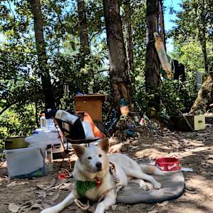 Cutest camper