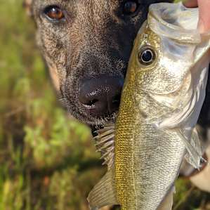 Great fishing on three small lakes.