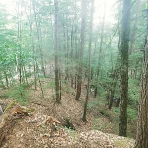 Coyote Ridge