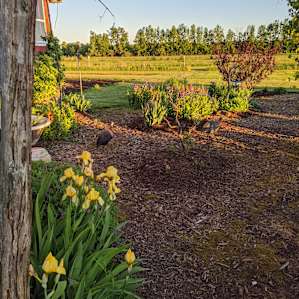 Country Charm