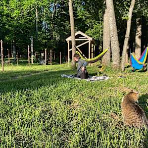 Candy the cat keeping us company by the hammocks and horse during sunset yoga!