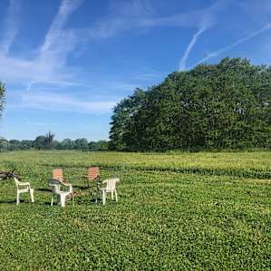Bee Sanctuary