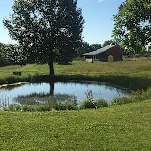 Beautiful pond and barn in the distance