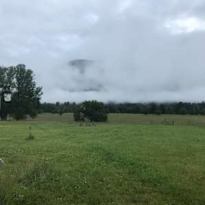 Foggy morning