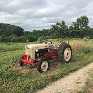 Wild Daisy Farm