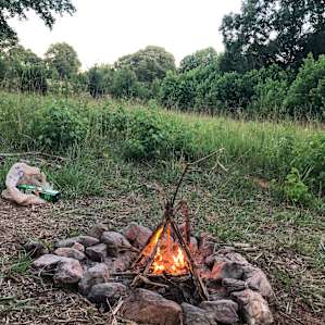Wild Daisy Farm