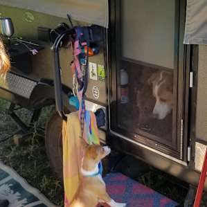 We got a visitor while packing up camp!