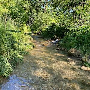 Creek
