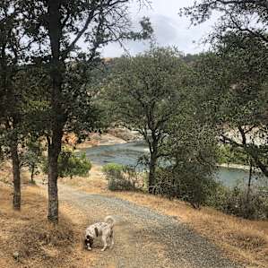 Road to river from sites