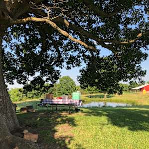 Big Oak Treehouse