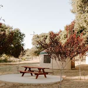 Stallion Oaks Ranch ~16' Yurt