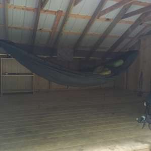 Little Mill Creek Campsite