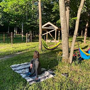 Lots of areas to set up hammocks!