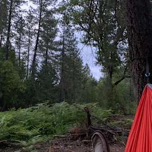 Laytonville Ecovillage Camp #3