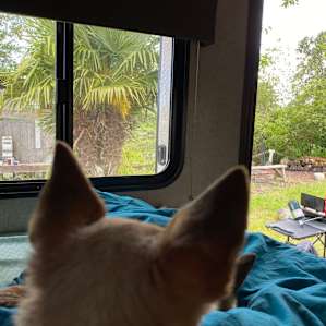 River Camping in the country