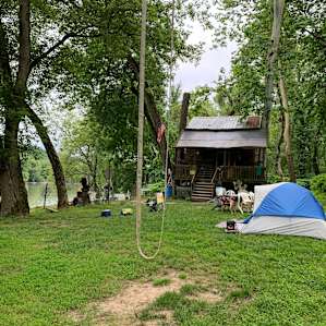 Plenty of space in the yard, and an awesome swing to try out!