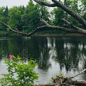 Floodwood Campground