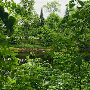 Floodwood Campground