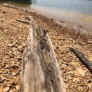 A different aspect of Lake Cumberland