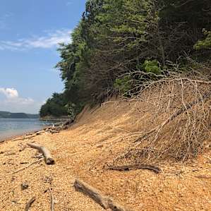 Another view of the lake!