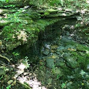 Natural Spring