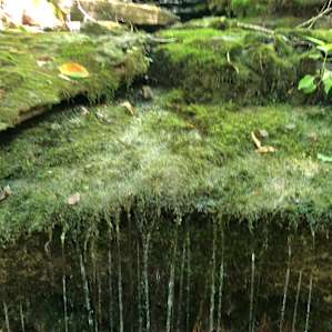 Natural Spring