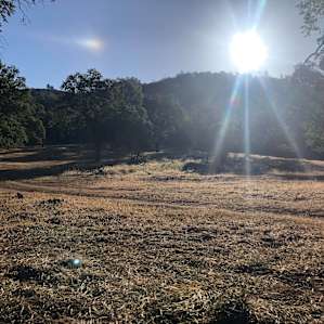 Meadow View