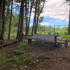 Woodsy Camp - Open!