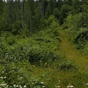 Medley Woods Retreat