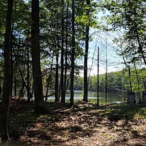 Camp Escape: The Clearing