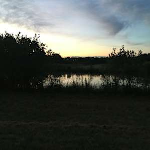 Camping in Wine Country