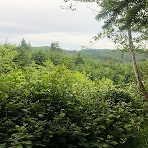Amazing views from camp!