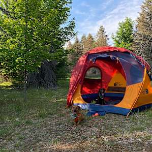Camp Stonewood Ranch