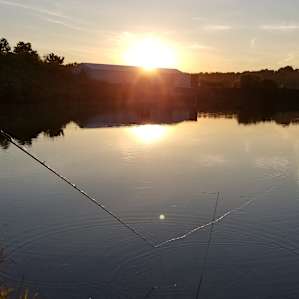 Fish Farm Camp