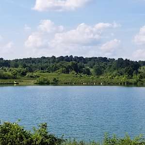 Fish Farm Camp