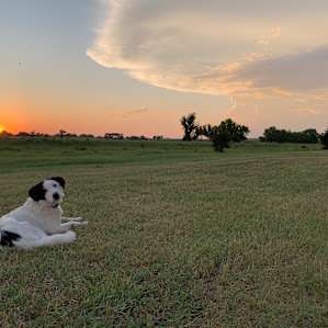 C2T Ranch on the Saline - RV