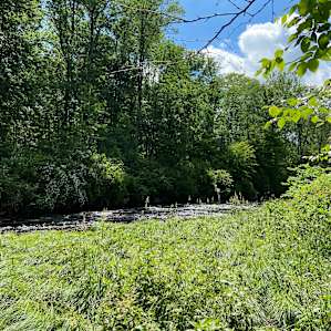 Creekside Glamping @WallyCreekFarm