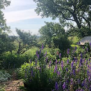 Garden Shed Farm Stay