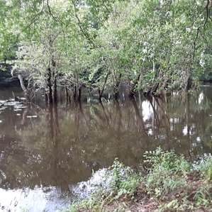 Slow moving river...very relaxing