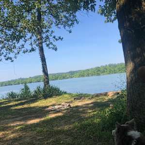 Camping on the Tennessee River