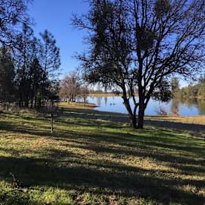 Waterfront At Finnon Point A5 Finnon Lake Recreation Area Ca 20 Hipcamper Reviews And 34 Photos