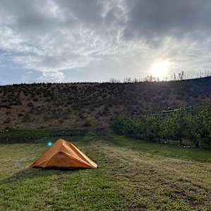 Cheval Cellars Wine Camp BnB