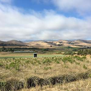 View from the site