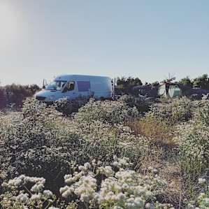 Drive-up Camp Sites at the EcoShire