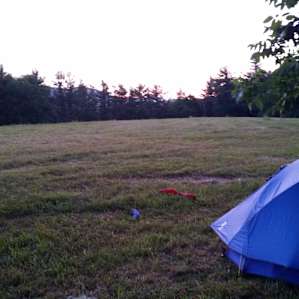 Actual spot at side of back field