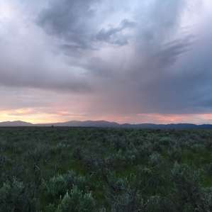 Bear Valley Cow Camp