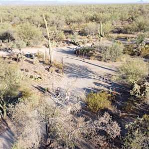 Wild Burro Desert Retreat
